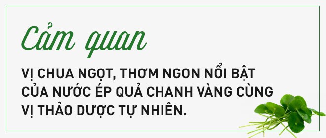 Giải mã loại cây dại được đổi đời thành rau organic trong trang trại đẳng cấp quốc tế - Ảnh 7. Giải mã loại cây dại được đổi đời thành rau organic trong trang trại đẳng cấp quốc tế - Ảnh 7.