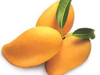 4 không nhất thiết không được mắc khi ăn xoài