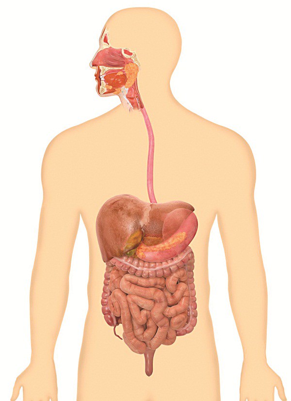 Đừng truyền dịch, hãy cố gắng ăn! - Ảnh 1. Đừng truyền dịch, hãy cố gắng ăn! - Ảnh 1.