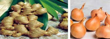 Gừng tươi và hành khô là 2 vị thuốc trong bài thuốc dân gian trị bệnh viêm xoang cực hiệu quả.
