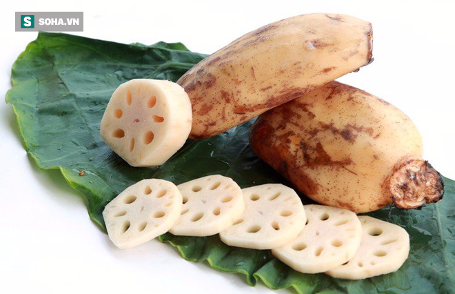Chuyên gia Đông y chia sẻ tác dụng kỳ diệu của 3 tiên dược nổi tiếng trong vườn nhà bạn - Ảnh 3. Chuyên gia Đông y chia sẻ tác dụng kỳ diệu của 3 tiên dược nổi tiếng trong vườn nhà bạn - Ảnh 3.