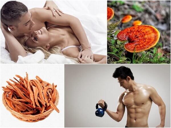 Tác dụng của nấm linh chi đối với nam giới