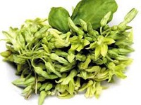 Hoa thiên lý: Những bài thuốc hay nên biết