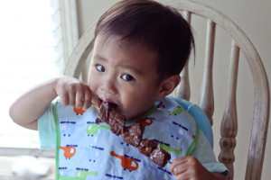 todder-eating-5895-1417240810