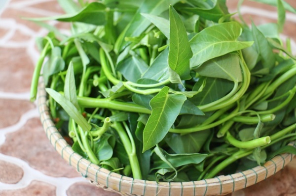 Rau muống – Vừa bổ thận vừa chữa liệt dương an toàn