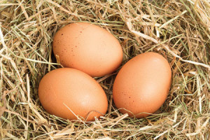 giam-can-nhanh-chong-2