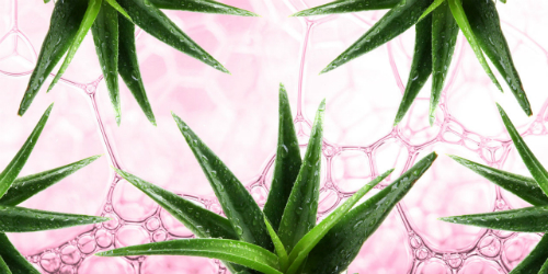 kem-duong-da-tot-nhat