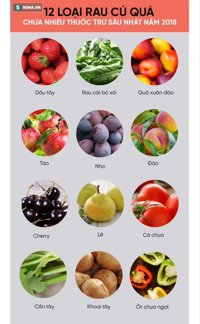 Mỹ công bố 12 loại rau củ quả nhiều thuốc trừ sâu nhất năm 2018: Người Việt nên tham khảo - Ảnh 1. Mỹ công bố 12 loại rau củ quả nhiều thuốc trừ sâu nhất năm 2018: Người Việt nên tham khảo - Ảnh 1.
