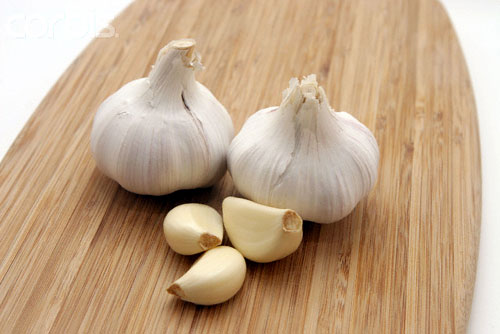 thao-duoc-tri-benh-viem-phe-quan-1