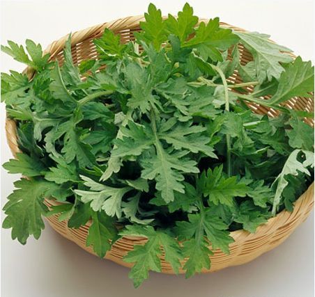 4 loại thảo dược dễ tìm chữa đau lưng cực hiệu quả 1