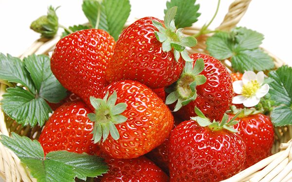 thực phẩm chống oxy hóa