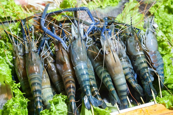 Tôm càng xanh nấu sài hồ, quế chi