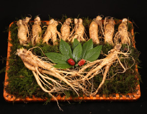 2014111102109919807042[2]