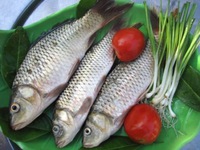 5 điều bắt buộc phải biết khi ăn cá
