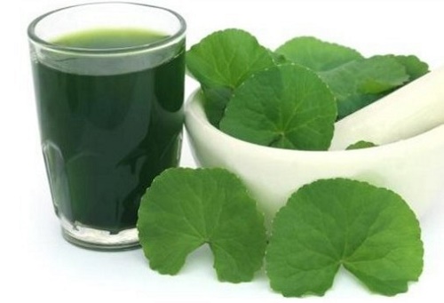 Chữa bệnh gan bằng rau má và đường phèn