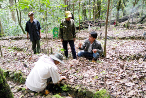 20150912084040-sam-ngoc-linh-jpg10