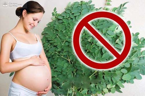 Bà bầu không nên ăn rau chùm ngây