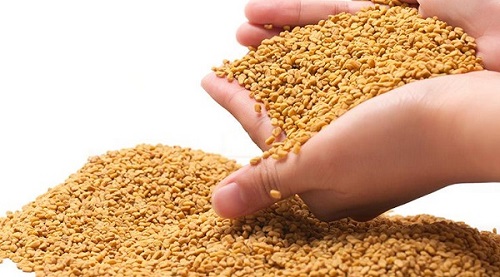 cách trị gàu hiệu quả