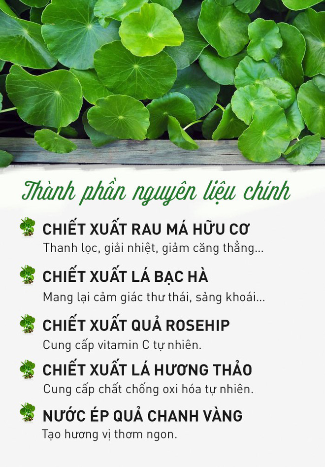 Giải mã loại cây dại được đổi đời thành rau organic trong trang trại đẳng cấp quốc tế - Ảnh 4. Giải mã loại cây dại được đổi đời thành rau organic trong trang trại đẳng cấp quốc tế - Ảnh 4.