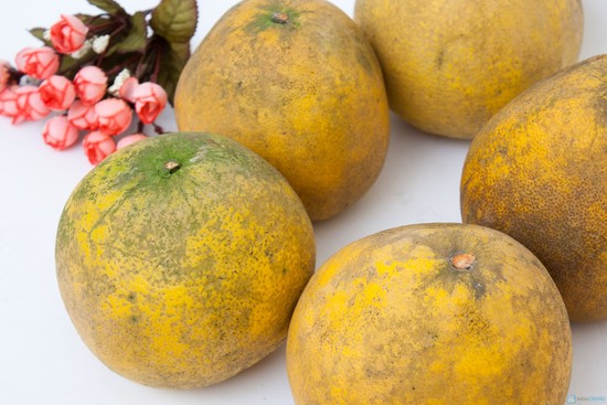 giam-can-bang-buoi-1