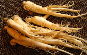 nhan_sam19032015031208_ZYAU