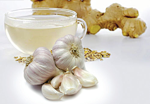 Những bài thuốc từ tỏi và gừng hiệu quả không ngờ 1 Những bài thuốc từ tỏi và gừng hiệu quả không ngờ 1