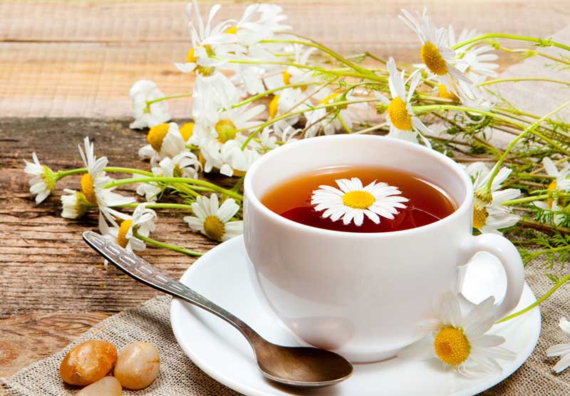 tra-mat-ong-hoa-cuc-1