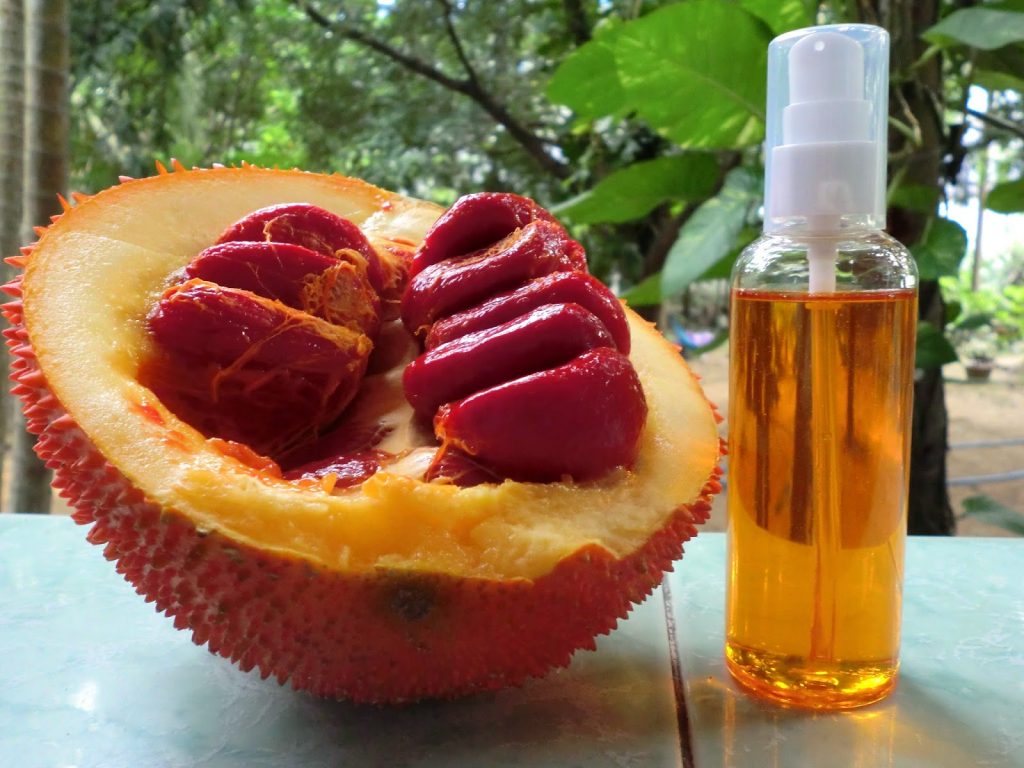 tu-che-dau-gac-tri-nam