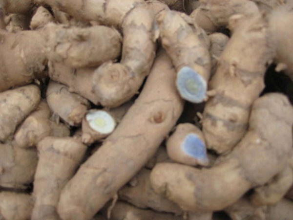 Công dụng của tinh bột nghệ đen