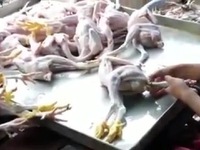 Công nghệ biến gà gầy thành gà béo chỉ sau 10 giây