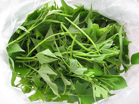 Tác dụng chữa bệnh của rau khoai lang - 1