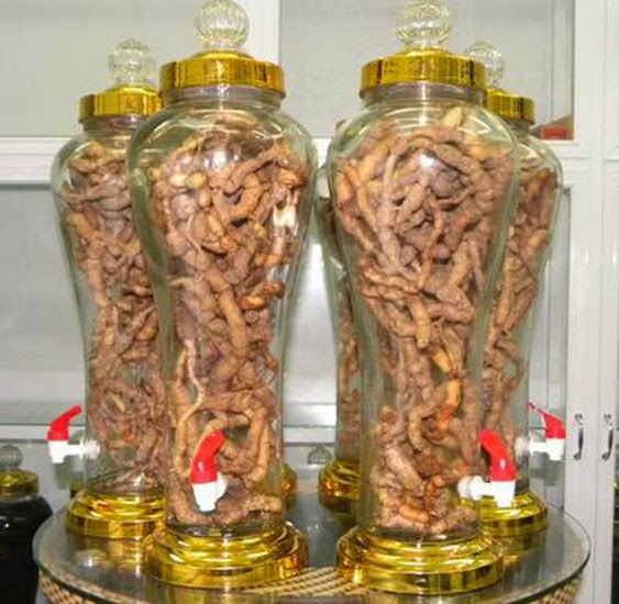 5 bài rượu bổ thận tráng dương có ba kích