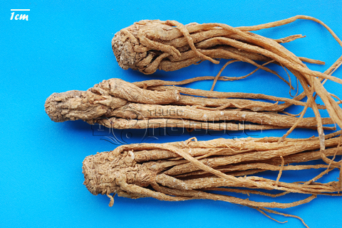 191213_082428duong_qui