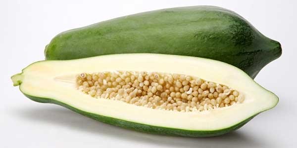 cách trị sỏi thận bằng đu đủ