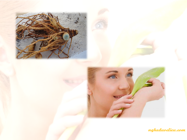 Cách dưỡng trắng da bằng tinh bột nghệ + dầu dừa