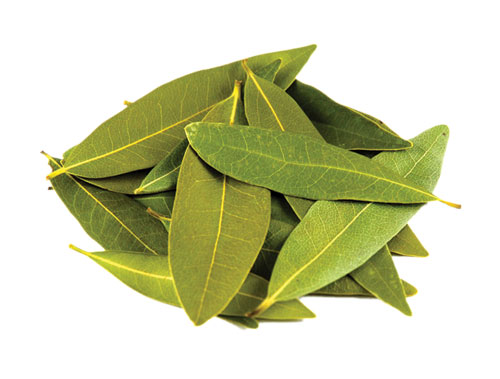 la-nguyet-que-tri-benh-da-day