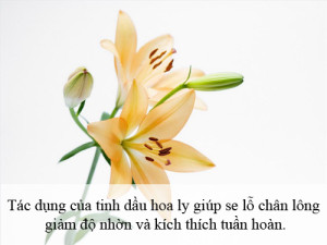 Meo-lam-dep-cho-da-mat-tu-A-den-Z-cho-chi-em-ngay-tai-nha