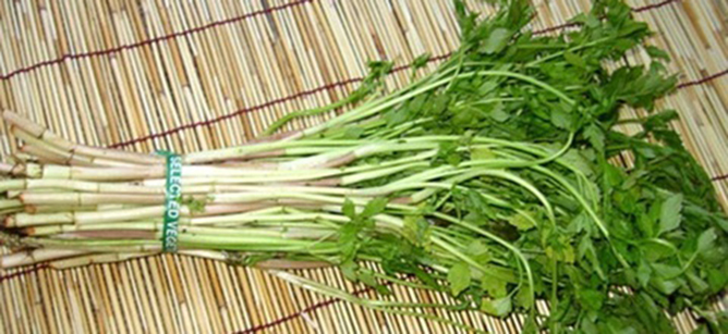 agarwood.org.vn-cach-giai-ruou-bia-hieu-qua-khi-say-1