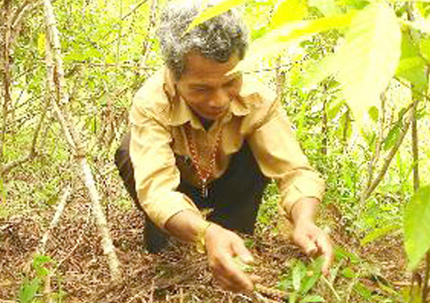 Nghệ thuật dùng ba kích giúp quý ông vừa “hóa rồng” chốn phòng the vừa tránh nguy cơ bệnh tật 1 Nghệ thuật dùng ba kích giúp quý ông vừa “hóa rồng” chốn phòng the vừa tránh nguy cơ bệnh tật 1