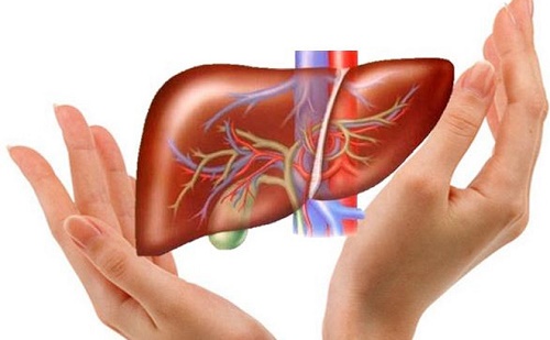 Thực phẩm giải độc gan, trị mụn