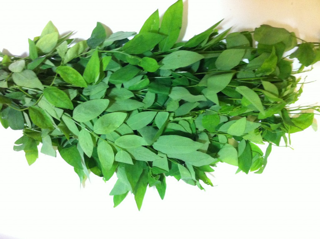 Cách trị nám sau khi sinh với rau ngót