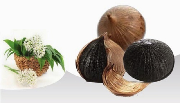 Tỏi đen và những công dụng hữu ích trong giới y học cổ truyền