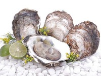 Nguy hại chết người khi ăn món hàu sống để bổ dương