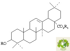 cây ngưu tất
