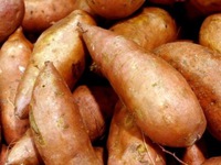 Những lợi ích không ngờ tới của khoai lang