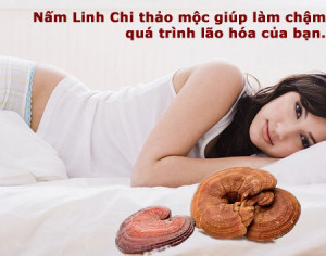 tac-dung-cua-nam-cho-trong-lam-dep