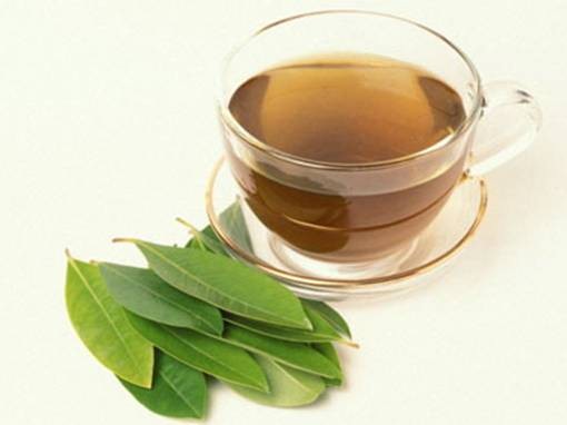 Cách chữa bệnh gout bằng lá vối tươi