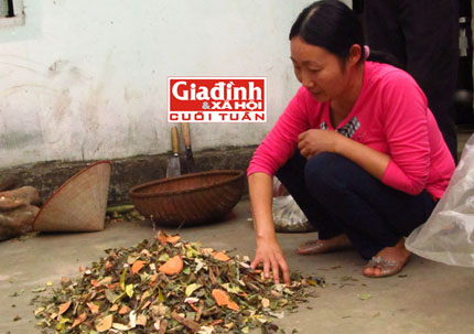 Khám phá bất ngờ về bài thuốc gia truyền hỗ trợ điều trị bệnh gút của cô giáo xứ Mường 1 Khám phá bất ngờ về bài thuốc gia truyền hỗ trợ điều trị bệnh gút của cô giáo xứ Mường 1