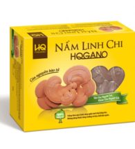 nam-linh-chi-hqgano-1