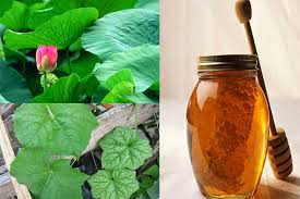 cach-tri-nam-tot-nhat